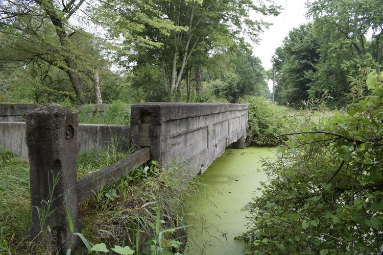 Stone bridge over a green algae-covered pond in a wooded park
