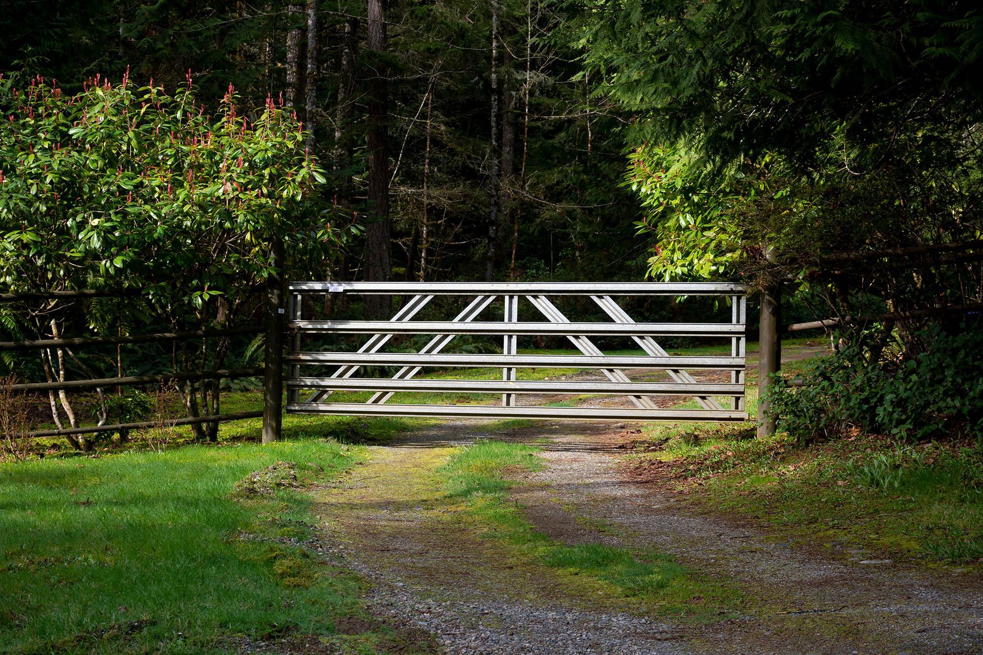 White metal gate across a gravel driveway, surrounded by green trees and grass