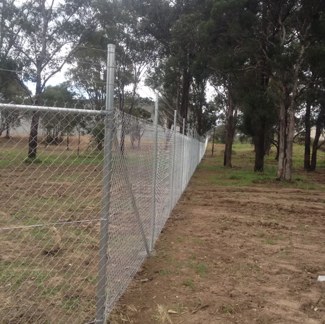 Chain-link fence beside a dirt path in a wooded area, with trees beyond.
