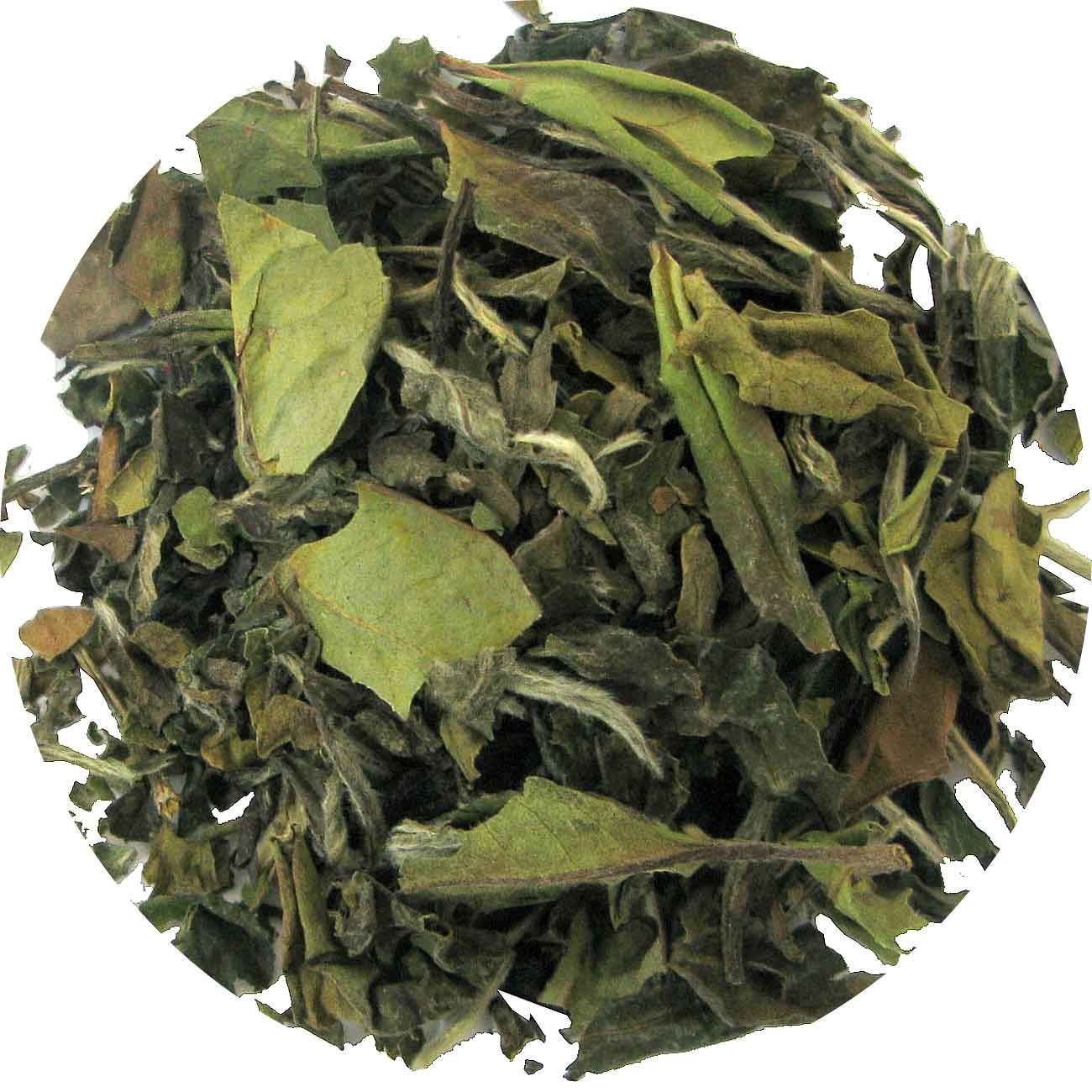 BIO china pai mu tan