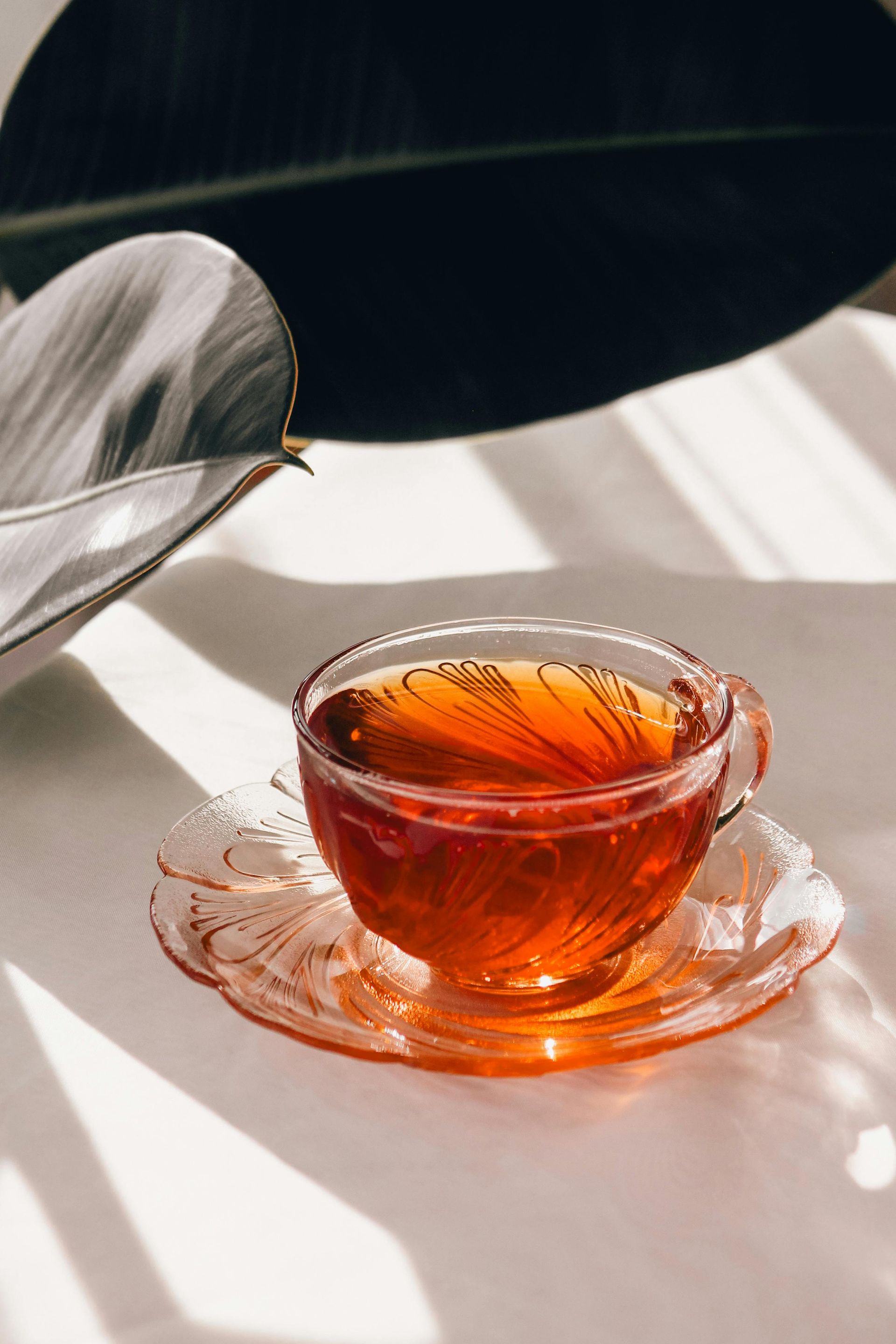 Rooibos
