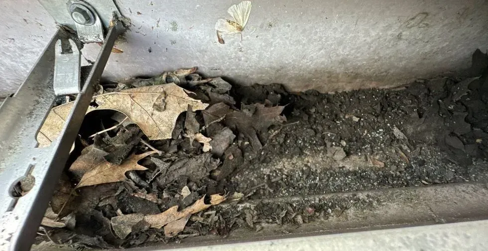 A pile of leaves and dirt on a concrete surface.