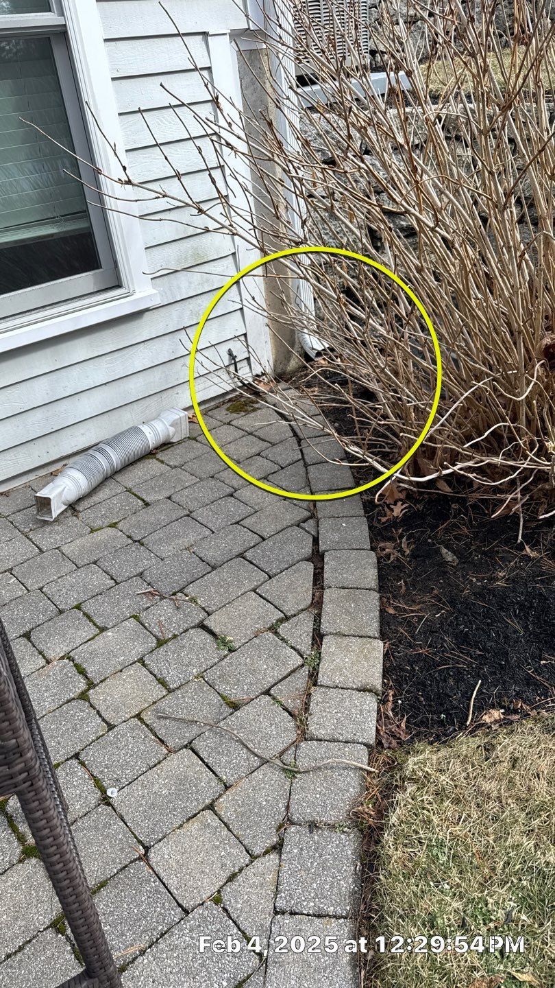 Yellow circle highlights the base of a house's downspout. A brick walkway borders dark mulch and a dead bush.