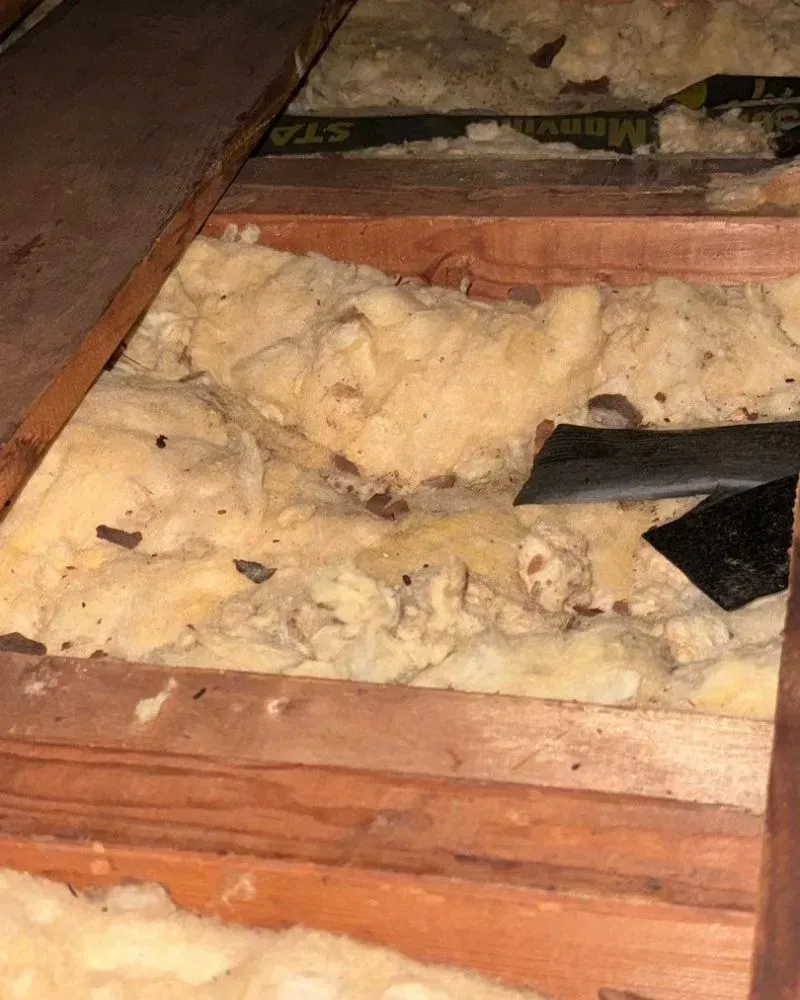There is a lot of insulation in the attic.