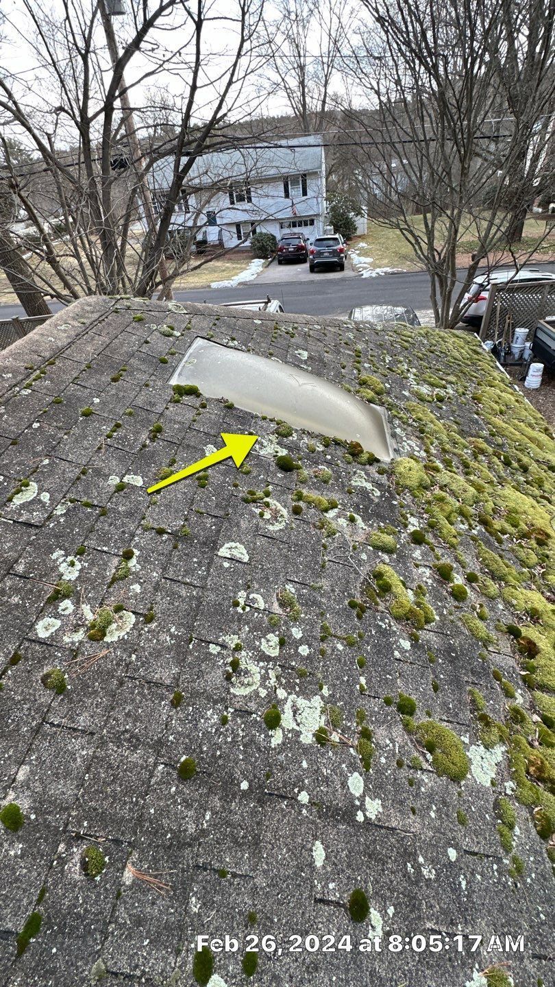 Rooftop covered in moss with a clear skylight; an arrow points toward the skylight. A residential street is in the background.