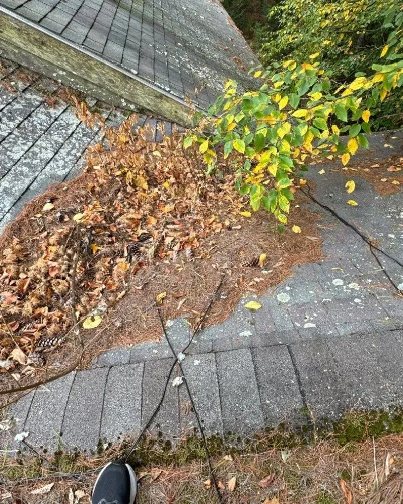 A person is standing on a sidewalk next to a roof with leaves on it.