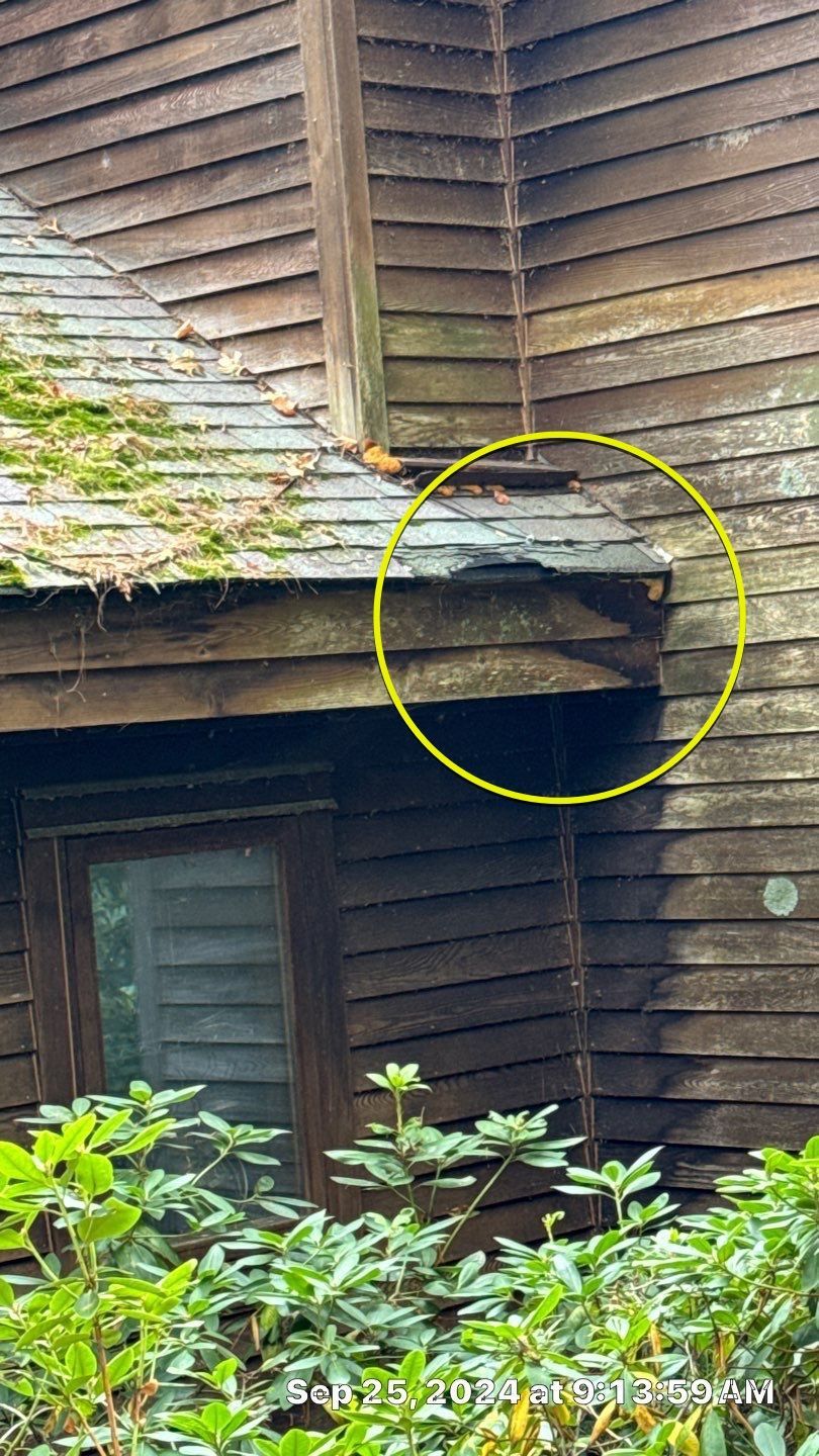 Yellow circle highlights damaged siding and roof corner on a brown wooden house, with a window and greenery below.