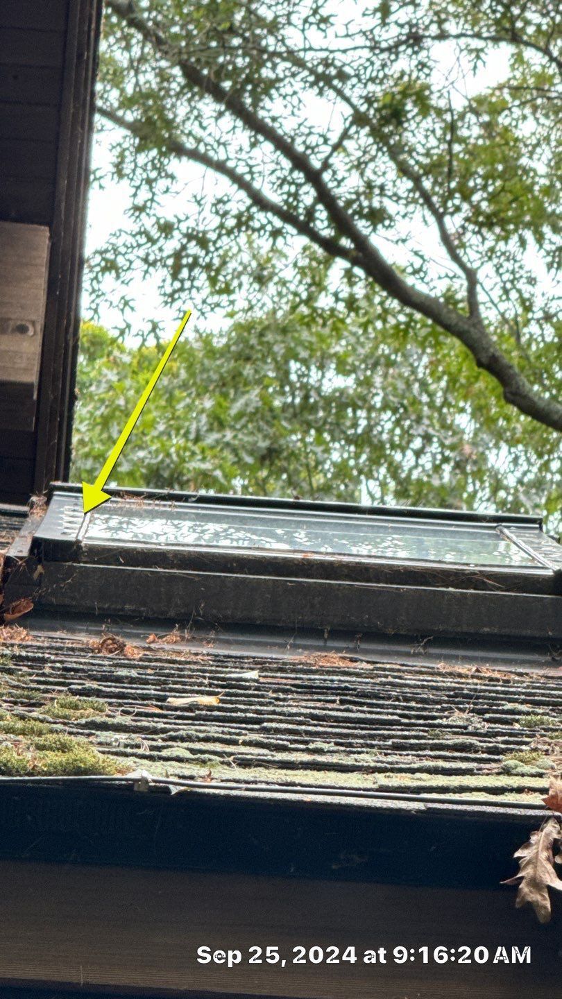 A close-up view of a house roof with a glass panel, indicated by an arrow. The roof is dark with moss.