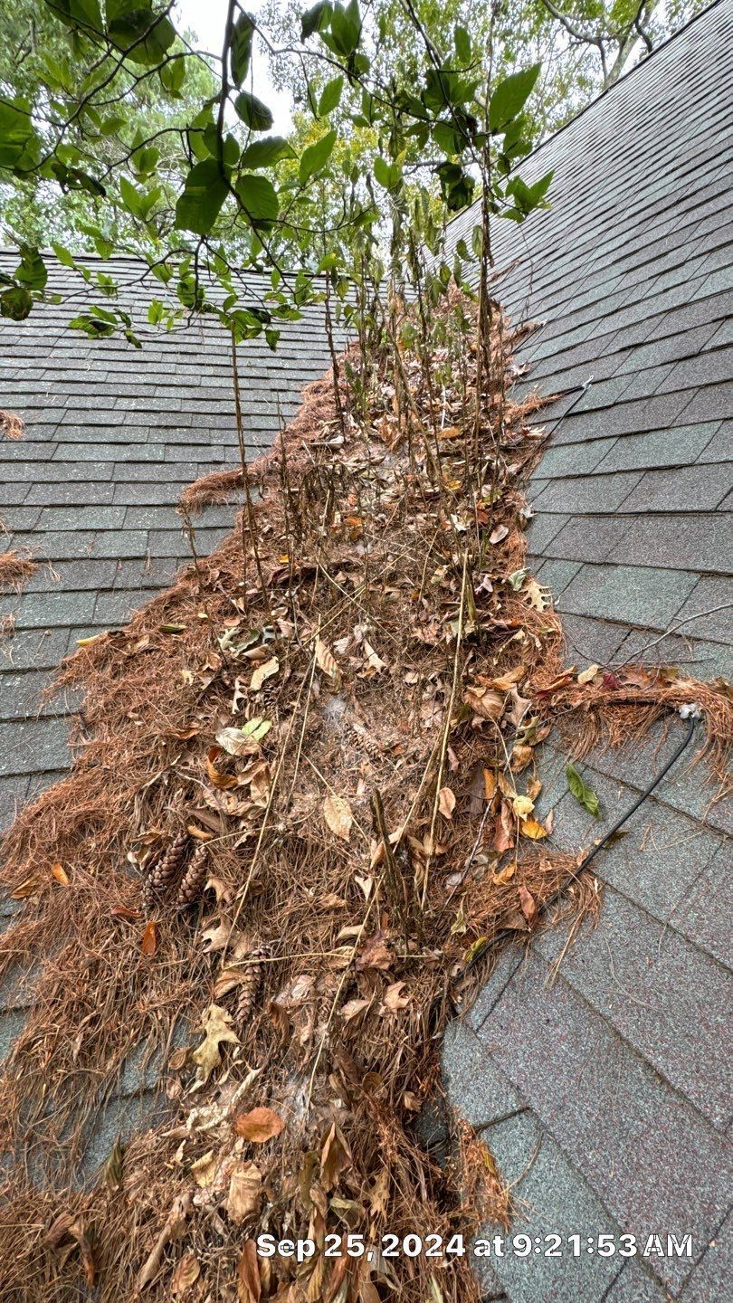Rooftop gutter overflowing with dry leaves and debris, next to a tree.