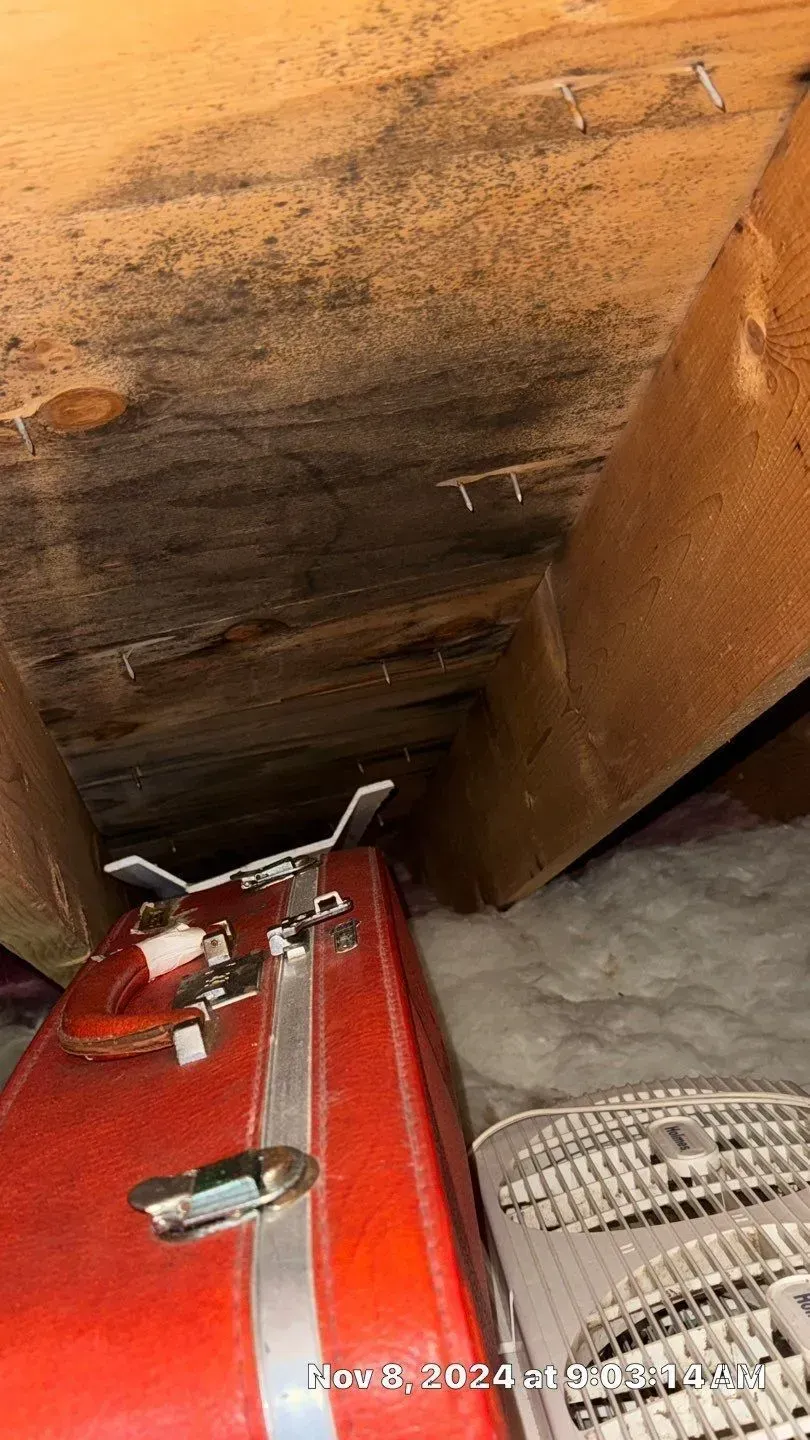 A red suitcase is sitting in the attic next to a wooden box.