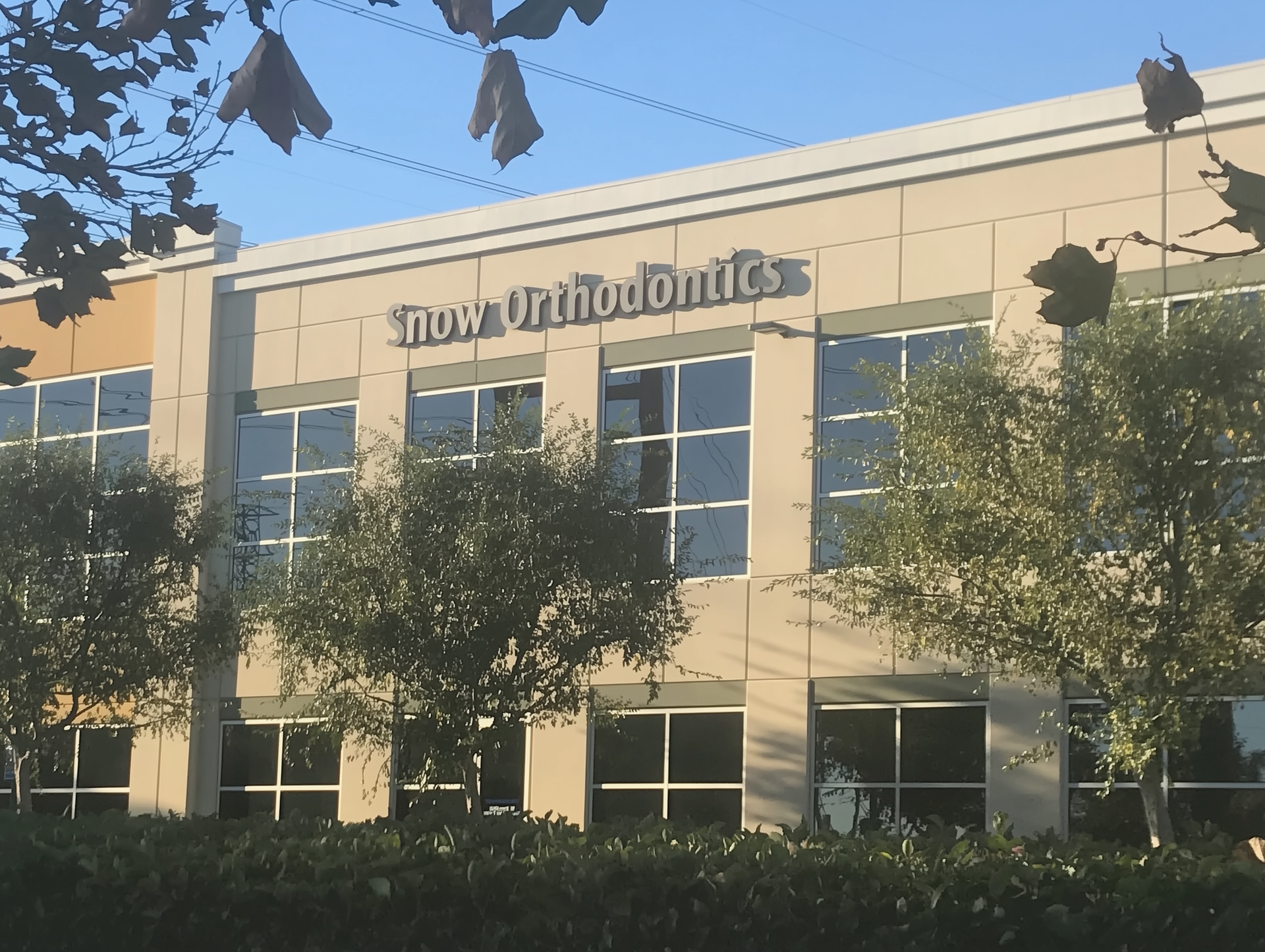 Tudor Orthodontics building exterior with tall windows and trees in front