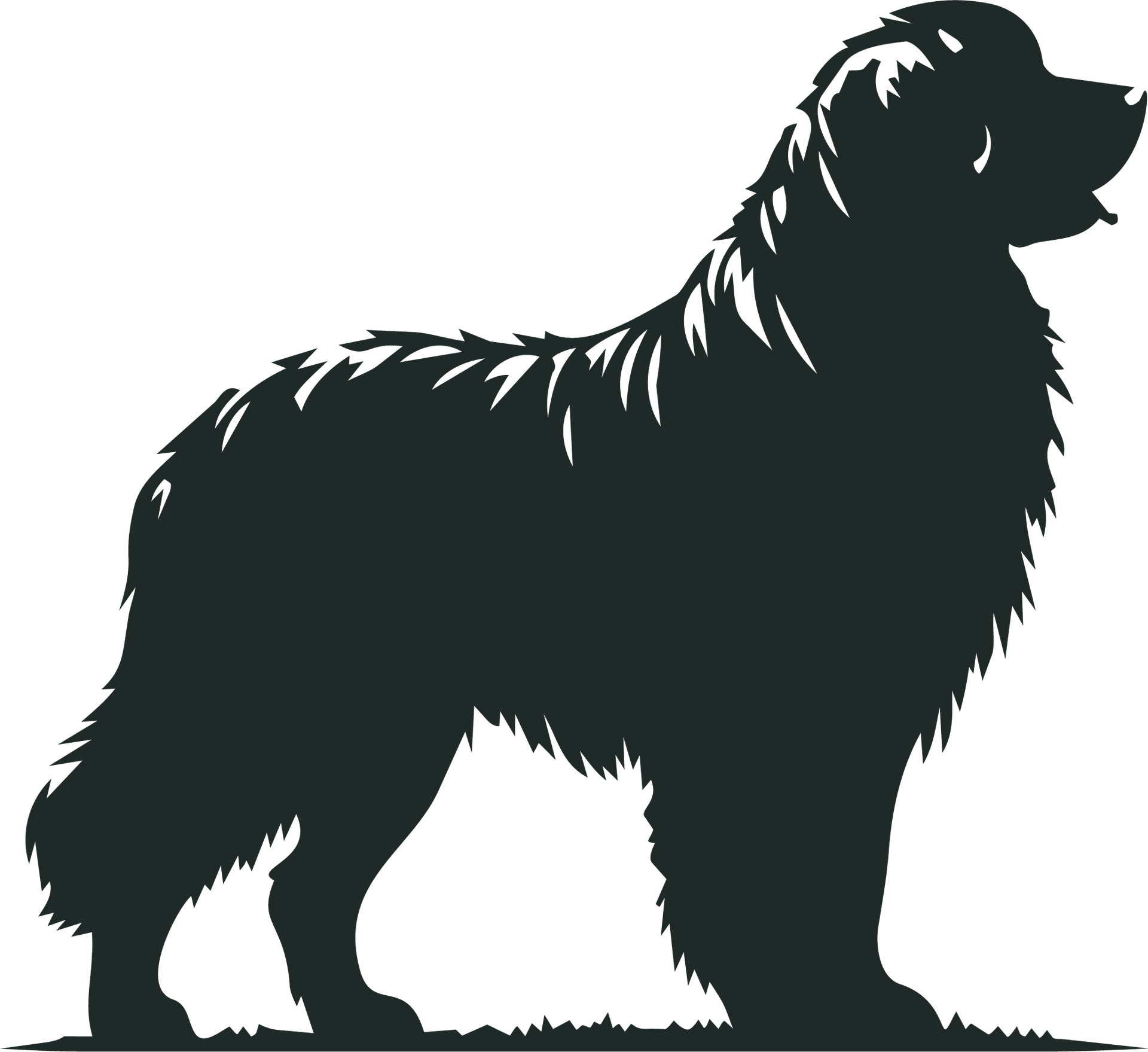 Silhouette noire d'un gros chien leonberg de profil sur fond blanc