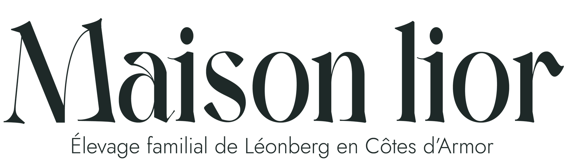 Logo Maison Lior avec texte or pâle et petit slogan français sur fond clair