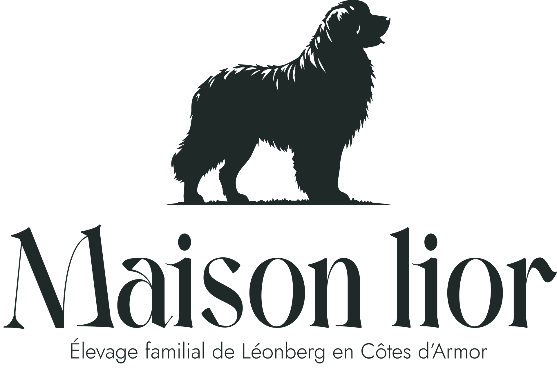 Logo Maison Lior avec silhouette de chien leonberg au-dessus du texte et petit slogan fran&ccedil;ais en dessous