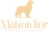 Logo doré représentant un chien debout au-dessus du texte « Maison Lior » avec un petit slogan français en dessous