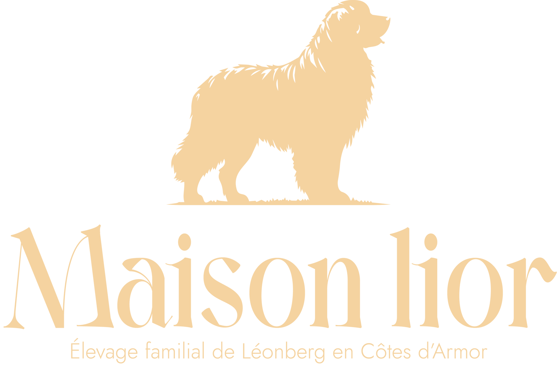 Logo doré représentant un chien debout au-dessus du texte « Maison Lior » avec un petit slogan français en dessous