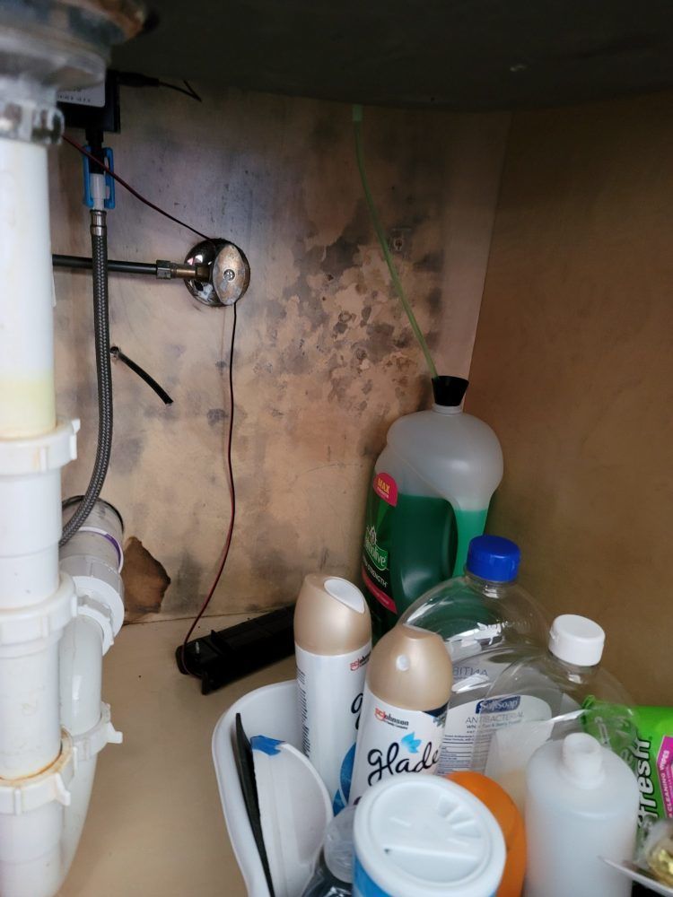 A sink with a lot of cleaning supplies underneath it