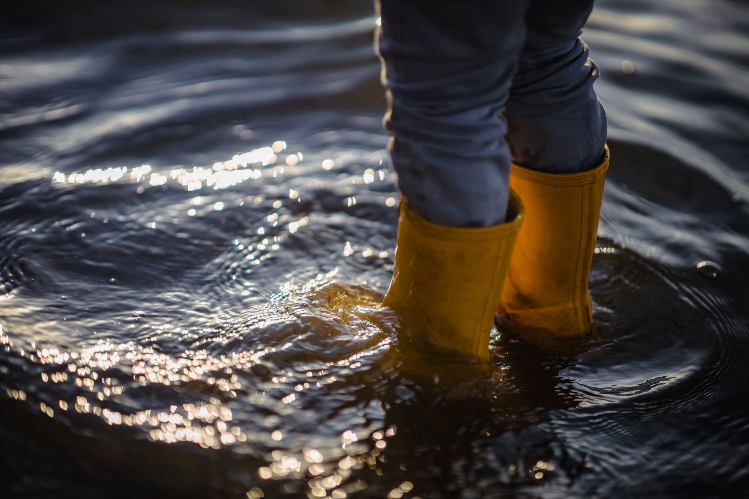 flood insurance