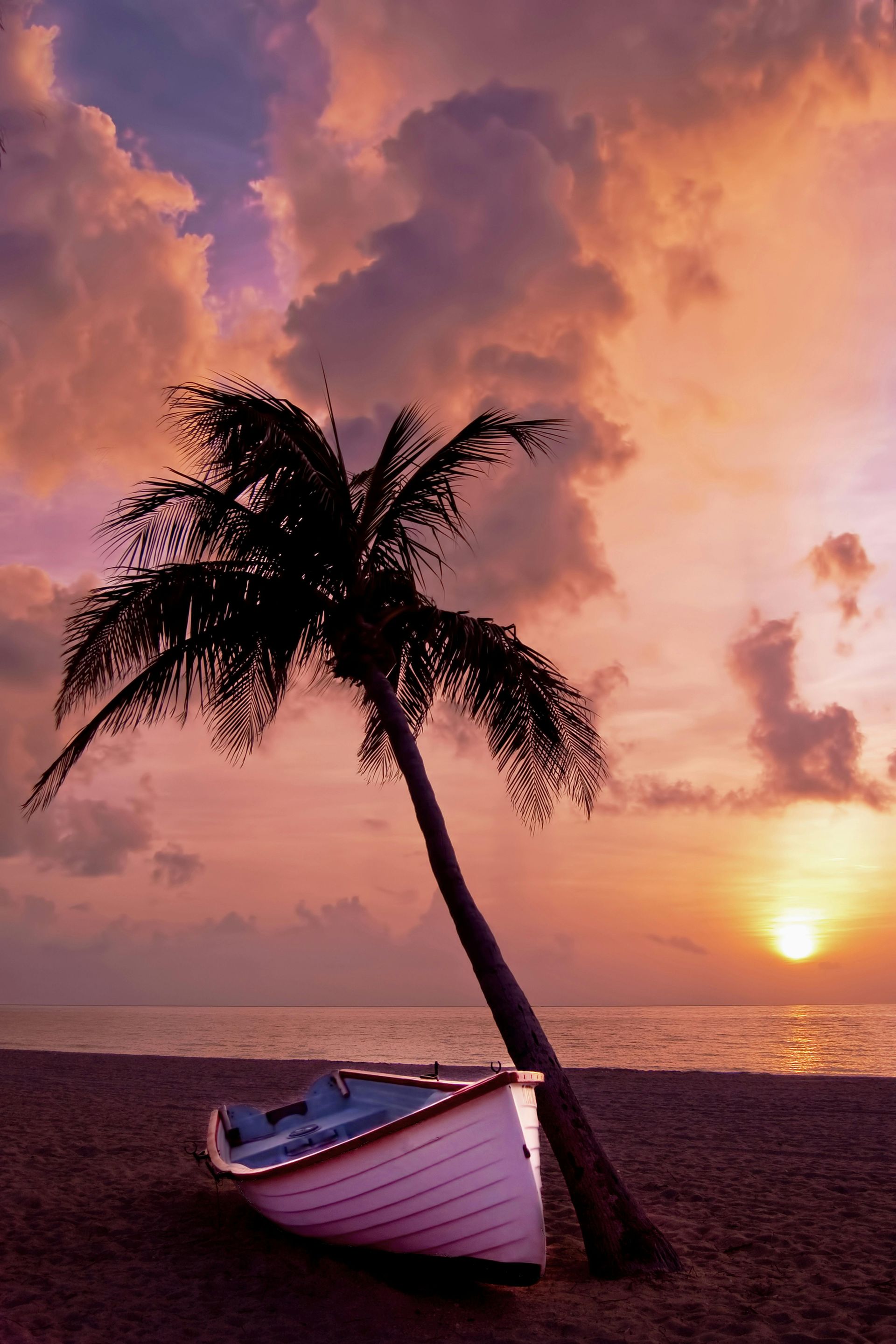 A small white rowboat rests on a sandy beach beside a leaning palm tree against a vibrant sunset sky.