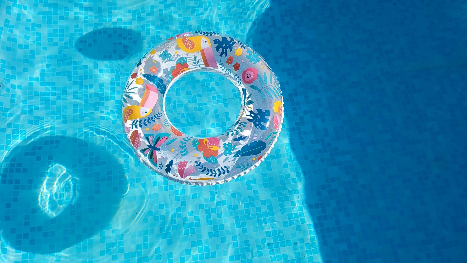 Colorful floral inflatable ring floating in a blue swimming pool, casting a shadow.