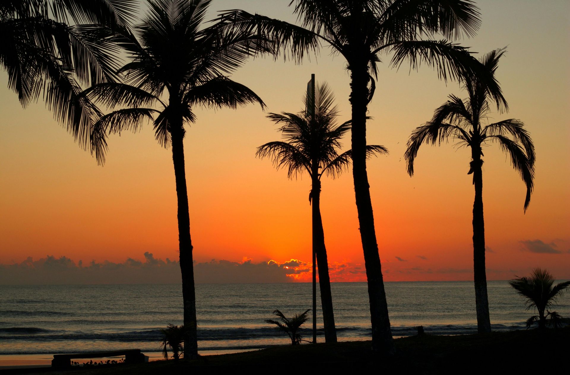Silhouetted palm trees against an orange and yellow sunset over the ocean.