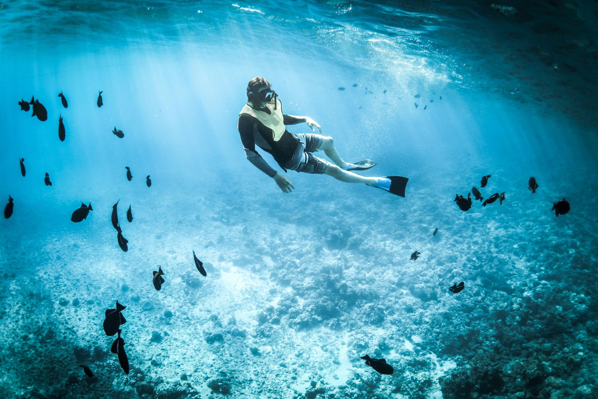 Person snorkeling with fish in clear blue water.