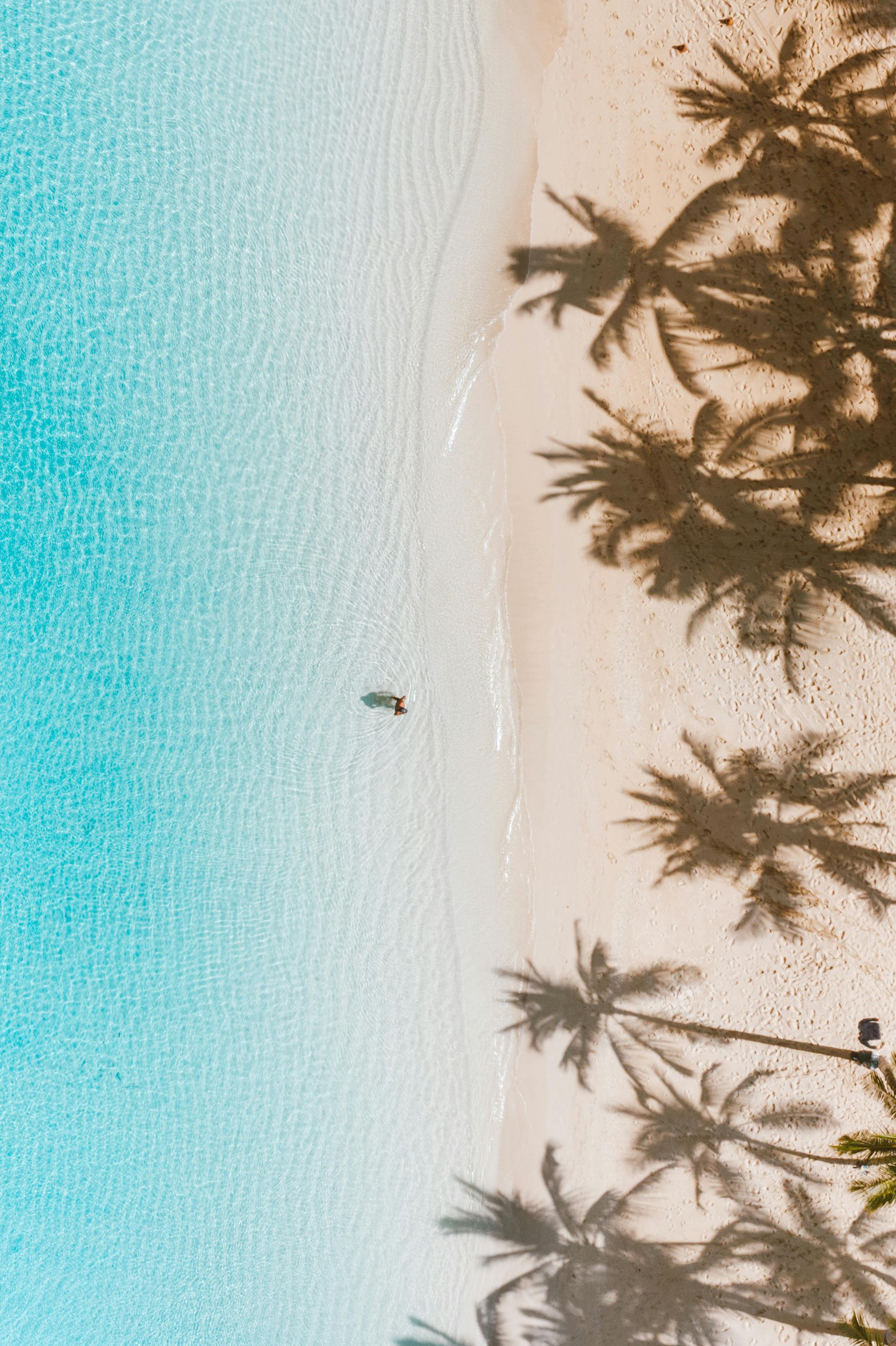 Aerial view of a white sandy beach with turquoise water. Palm tree shadows overlay the sand.
