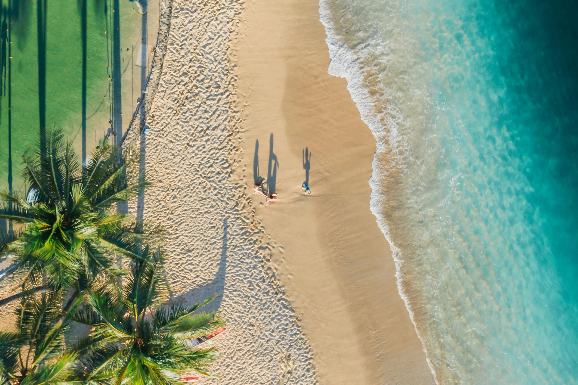 Aerial view of a sunny beach with tropical palm trees casting long shadows over the sand next to turquoise water.
