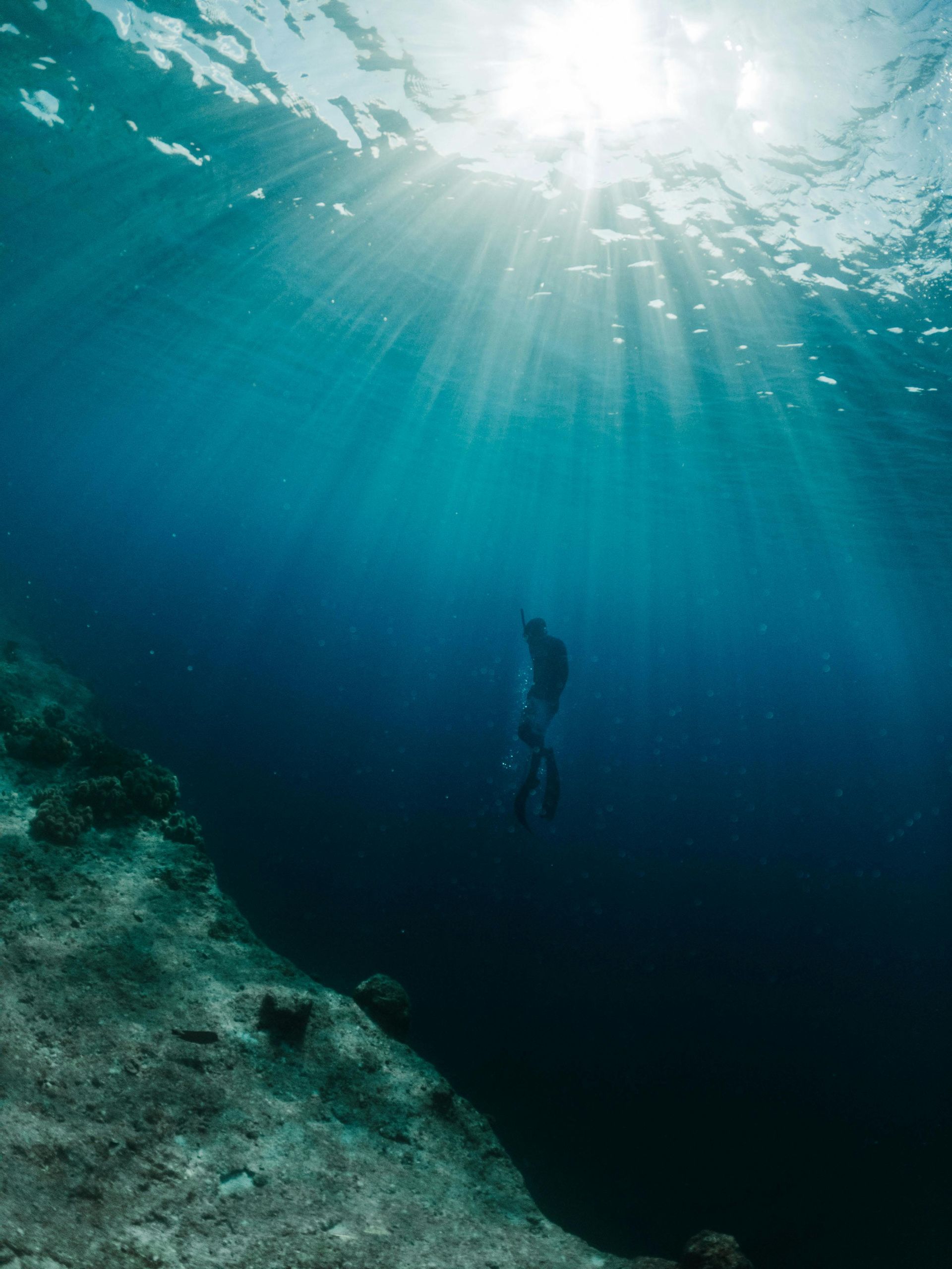 Diver in deep blue water, silhouetted against sunbeams from above.