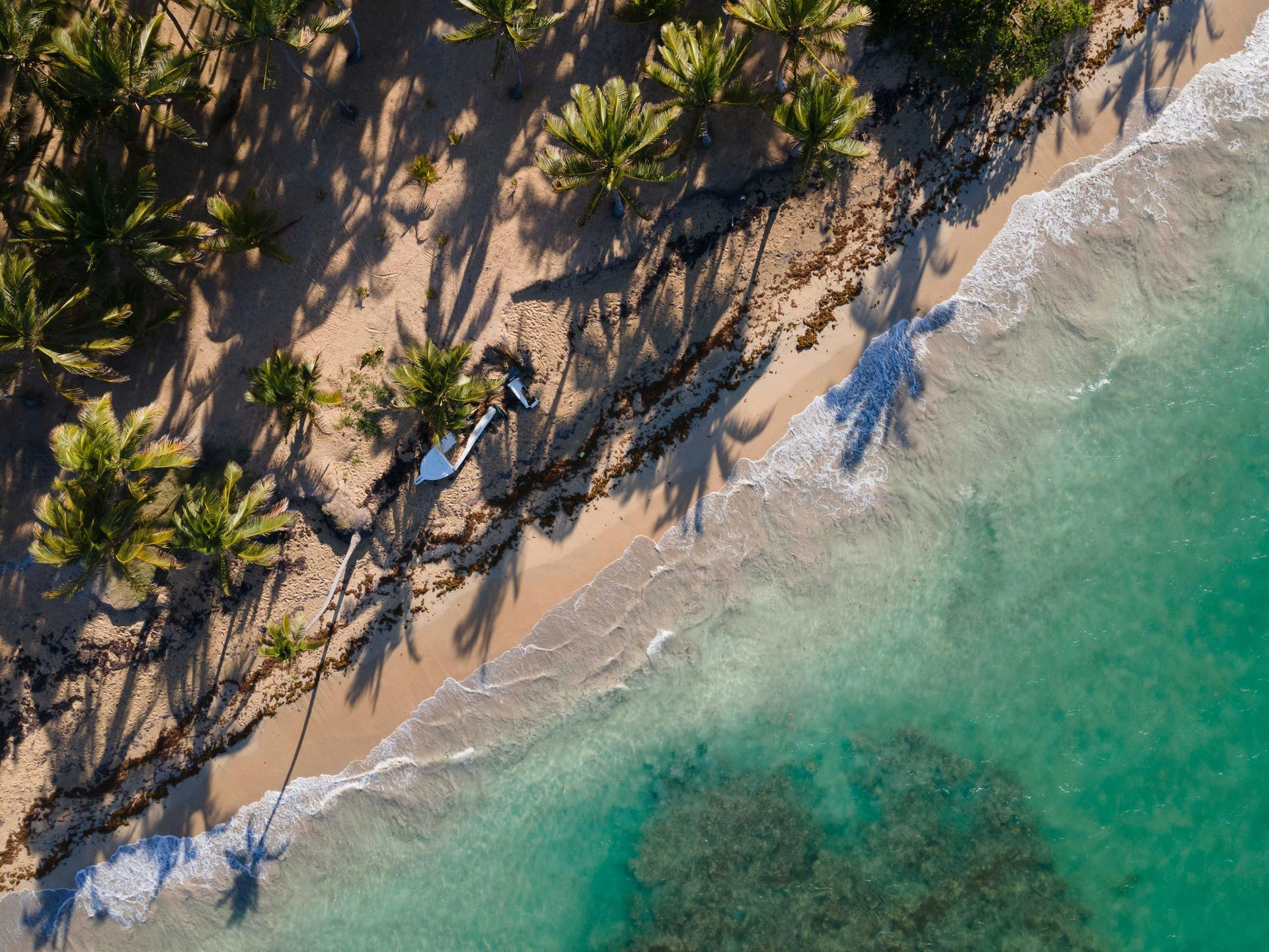 Aerial view of a tropical beach with palm trees, turquoise water, and gentle waves on the shore