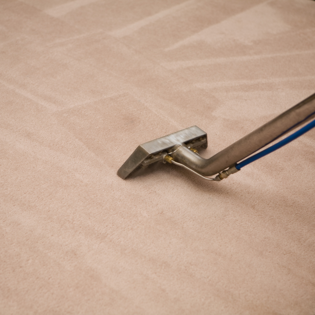 Green steam clean - our services - carpet cleaning