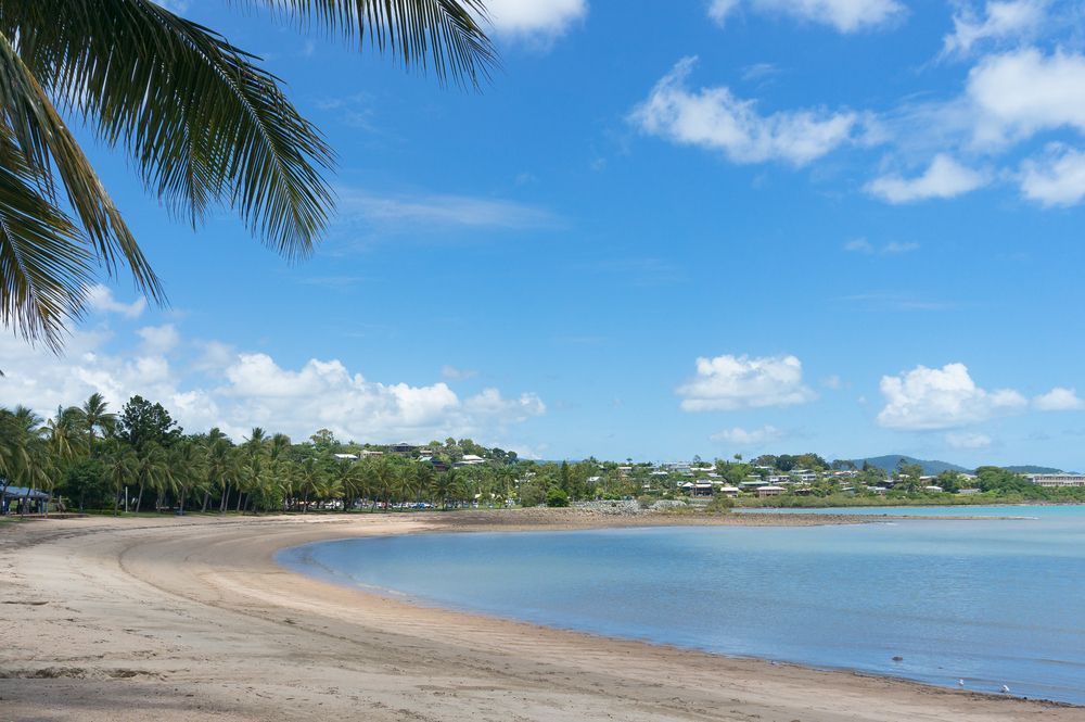 A Beach With A Palm Tree In The Foreground And A Body Of Water — Flash Concreting Pty Ltd In Airlie Beach, QLD