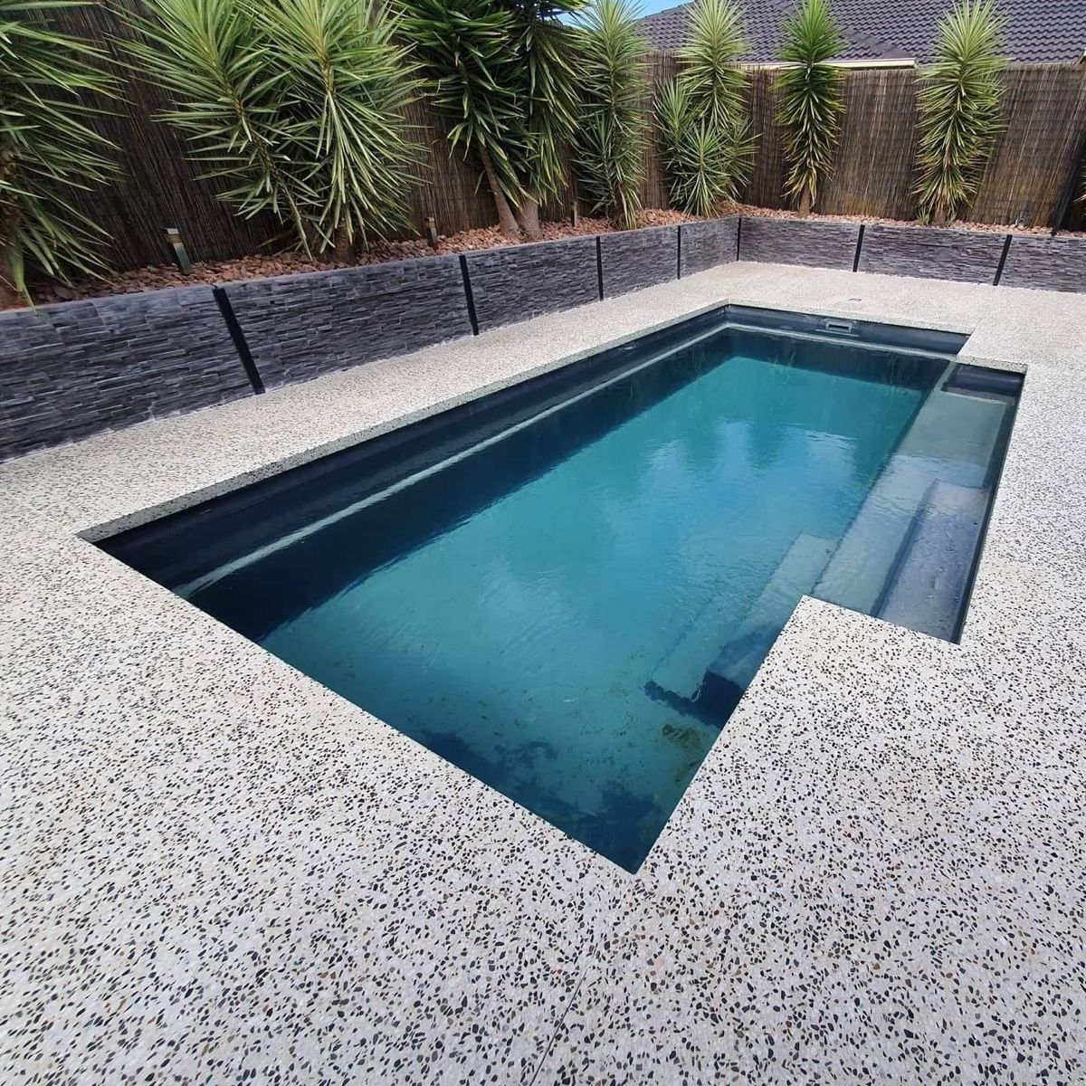 Rectangular backyard pool with blue water, surrounded by speckled stone decking and desert plants. — Flash Concreting Pty Ltd In Nindaroo, QLD