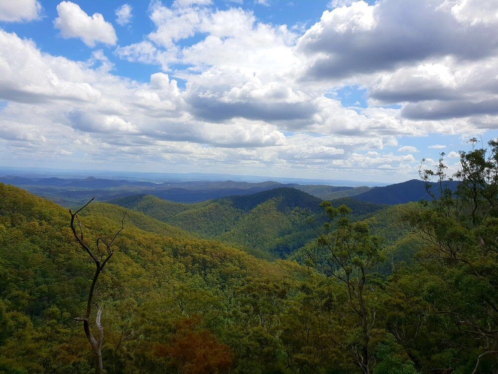 A View Of A Valley Surrounded By Trees And Mountains — Flash Concreting Pty Ltd In Nebo, QLD