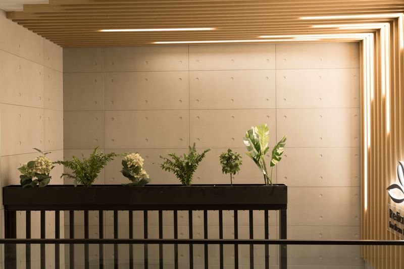 A row of potted plants sitting on top of a railing in a room.
