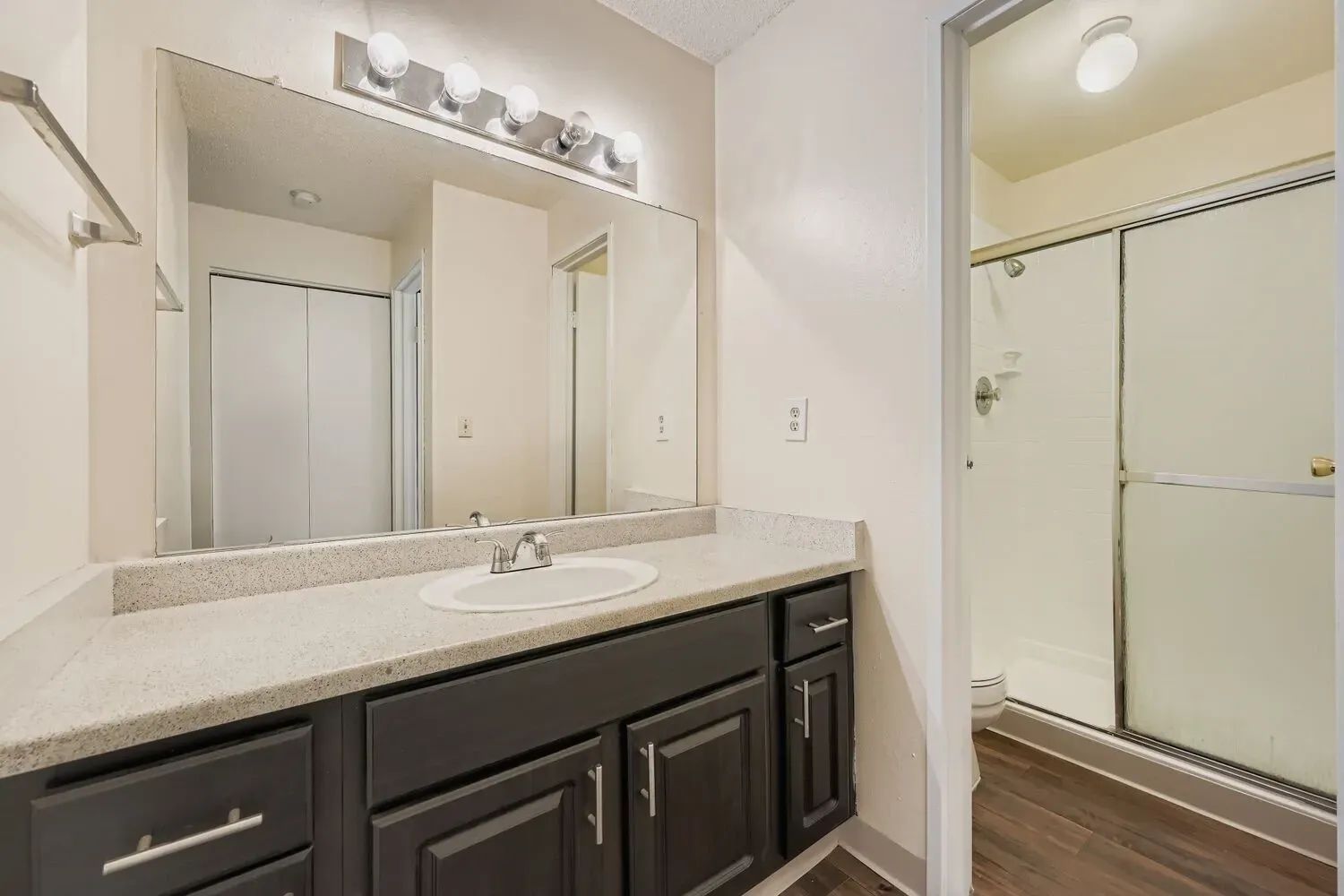 Bathroom vanity with a large mirror and a walk-in shower.