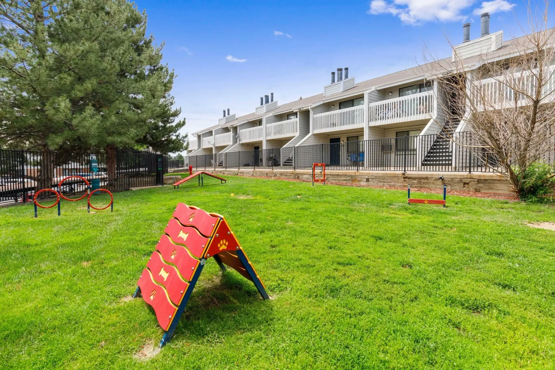 Dog park with agility equipment like tunnels and jumps, and apartment buildings in the background.