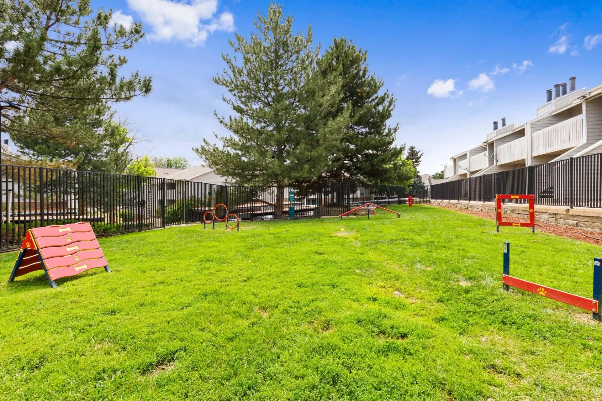 Dog park with agility equipment and grassy area.