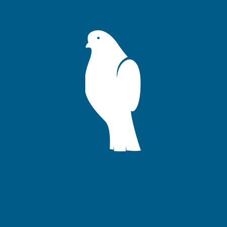 Birds - Danville, VA - Affordable Pest Control