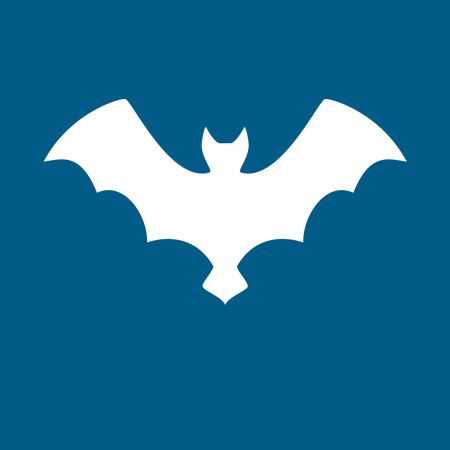 Bats - Danville, VA - Affordable Pest Control