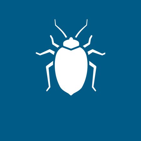 Bed Bugs - Danville, VA - Affordable Pest Control