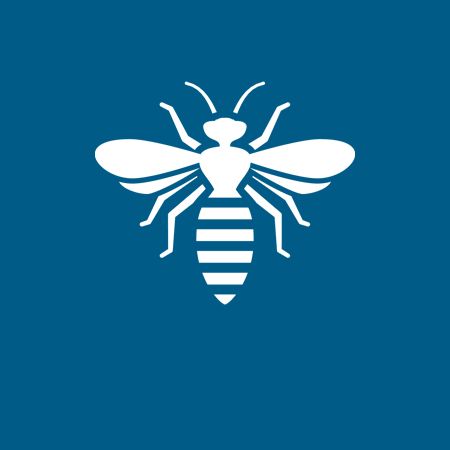 Bees - Danville, VA - Affordable Pest Control