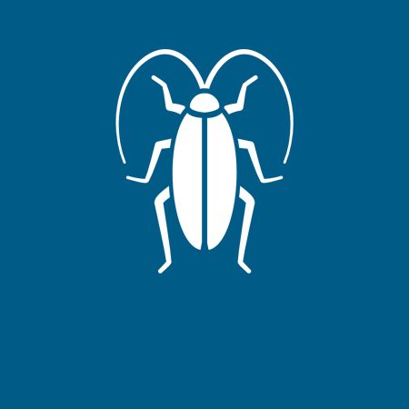 Cockroaches - Danville, VA - Affordable Pest Control