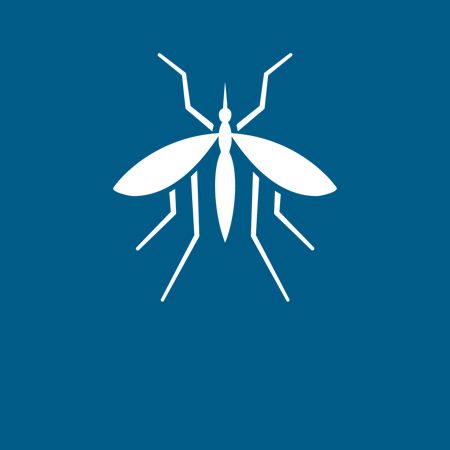 Mosquitoes - Danville, VA - Affordable Pest Control