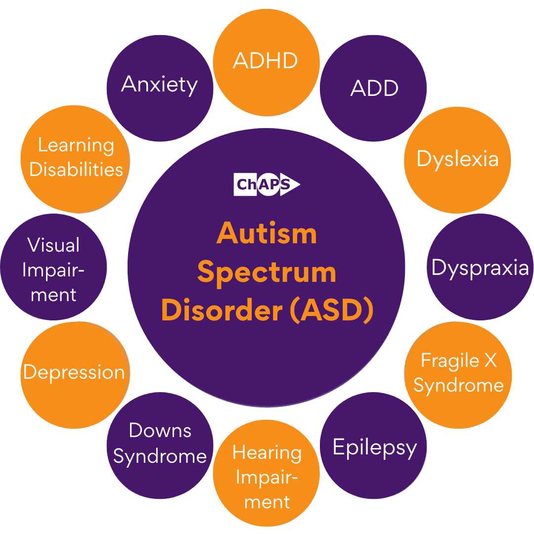 Diagram: Autism Spectrum Disorder (ASD) in center, surrounded by circles with related conditions like ADHD, anxiety, dyslexia.