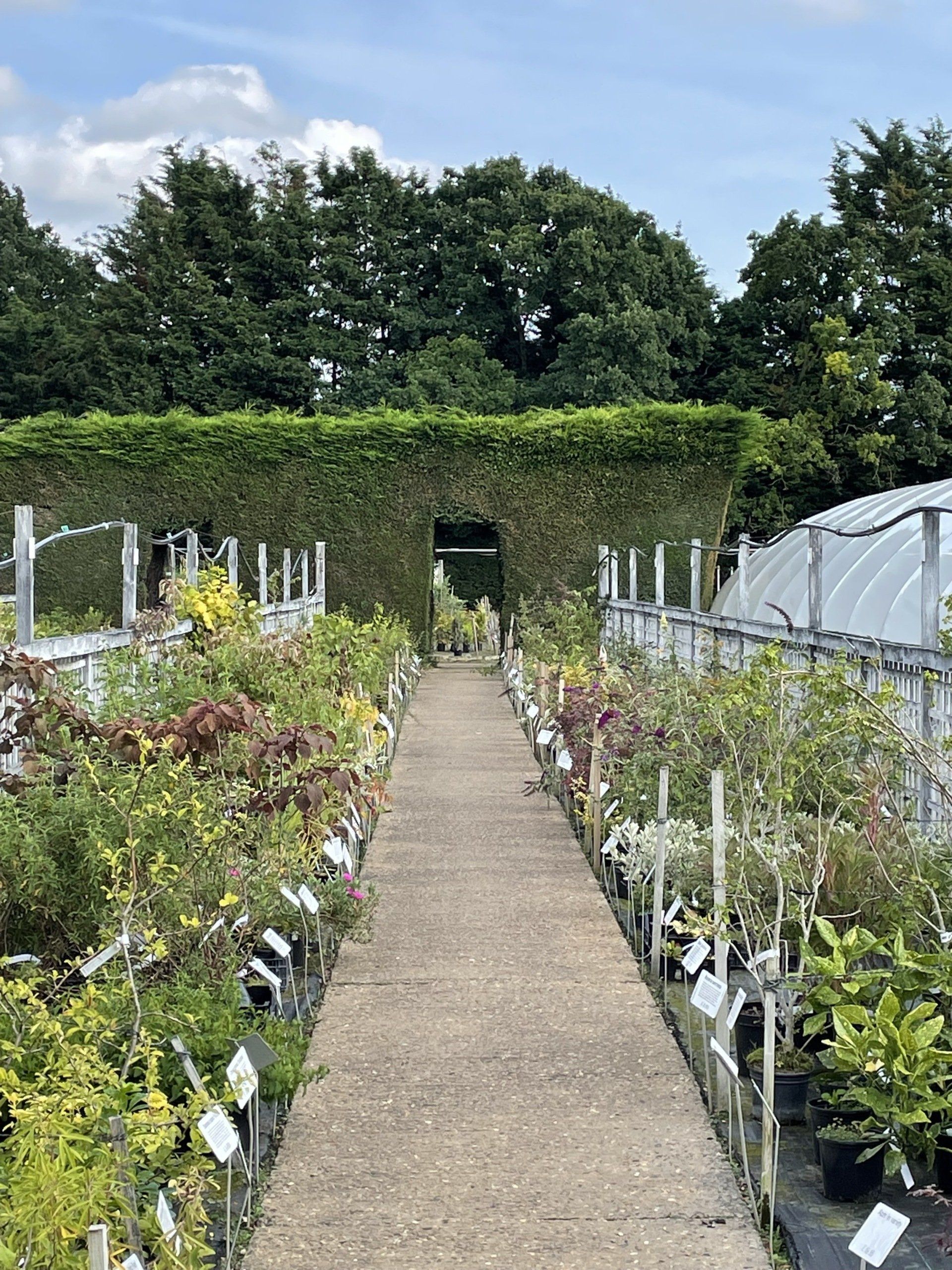 Nursery walkway