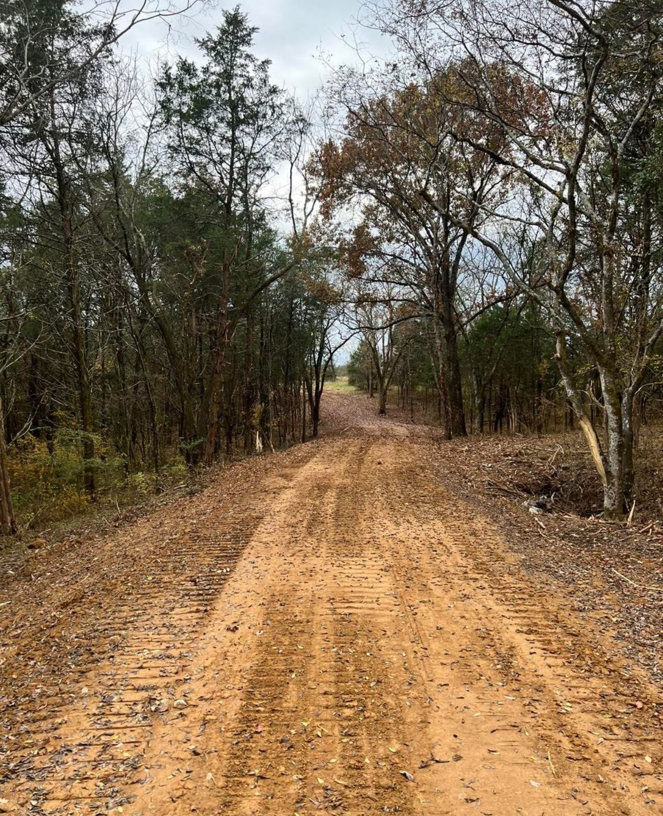 Dirt road through a wooded area under an overcast sky.