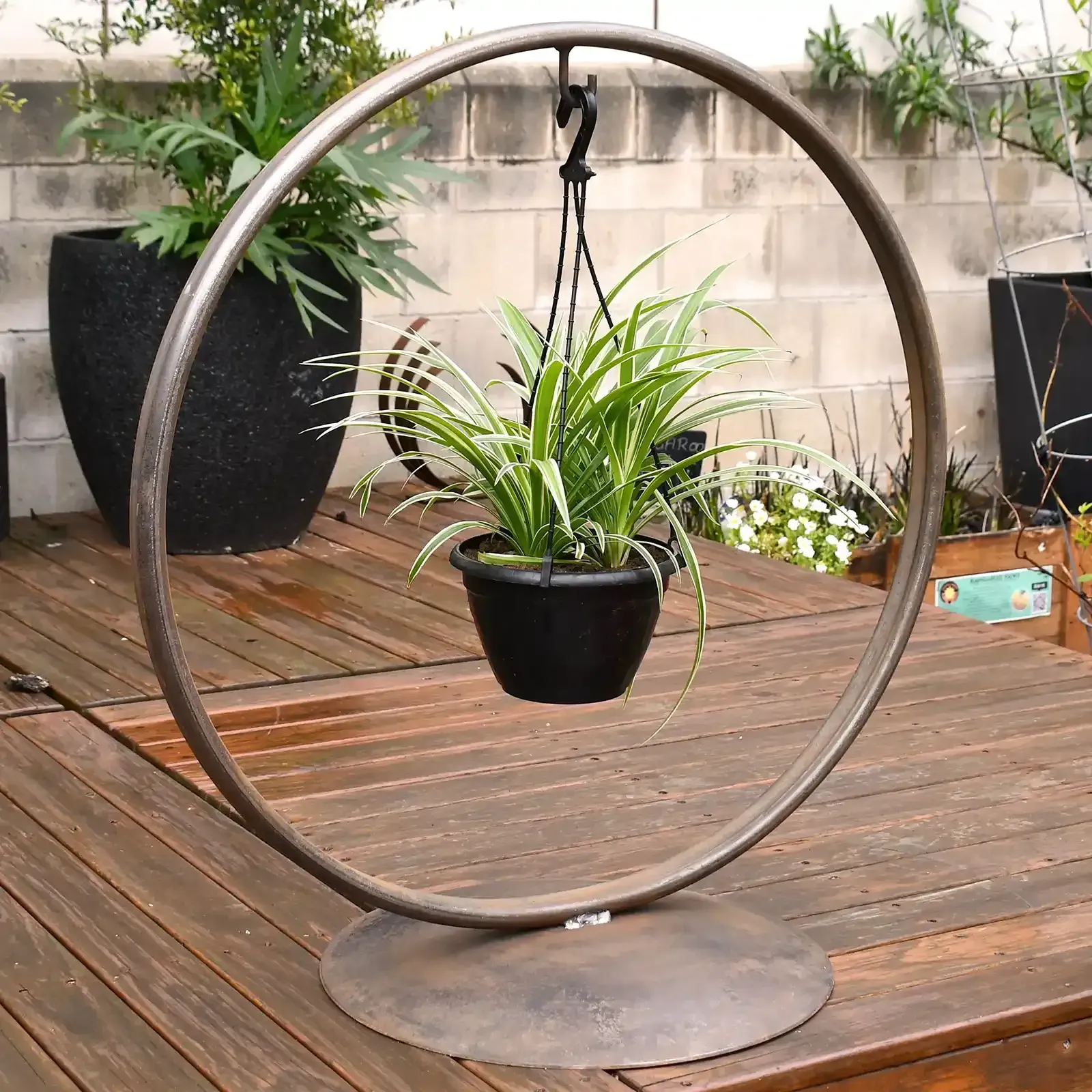 Hoop Hanger