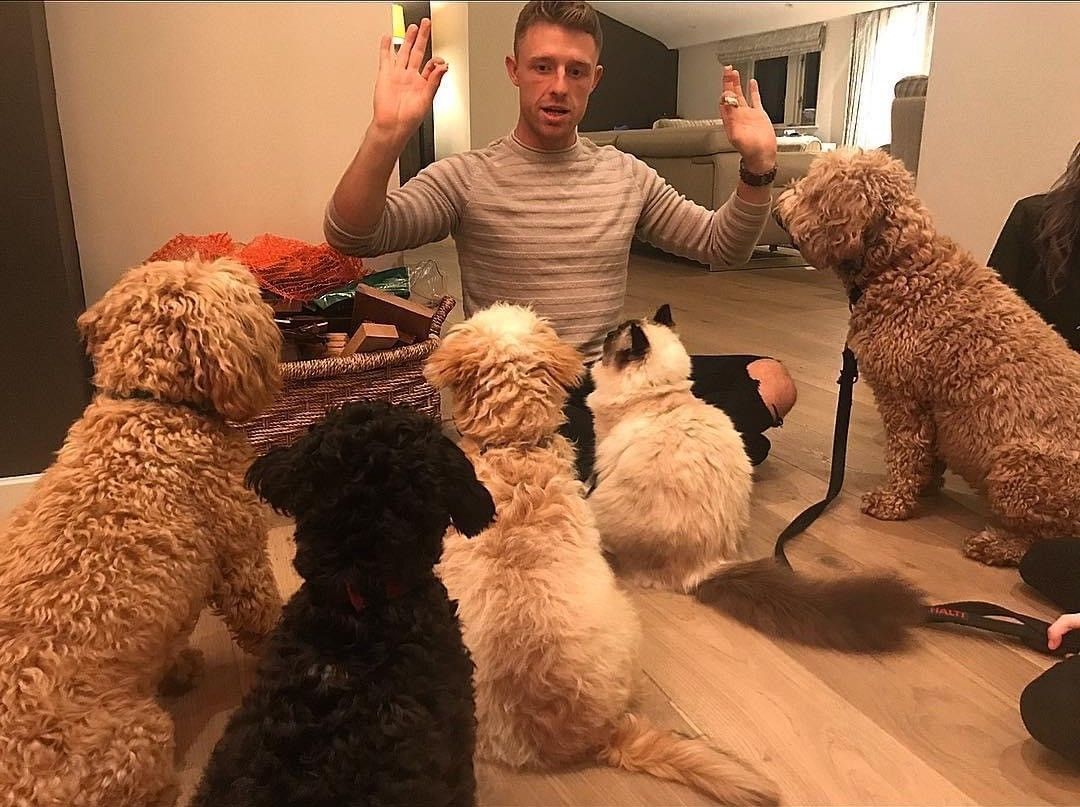 Animal whisperer Jordan