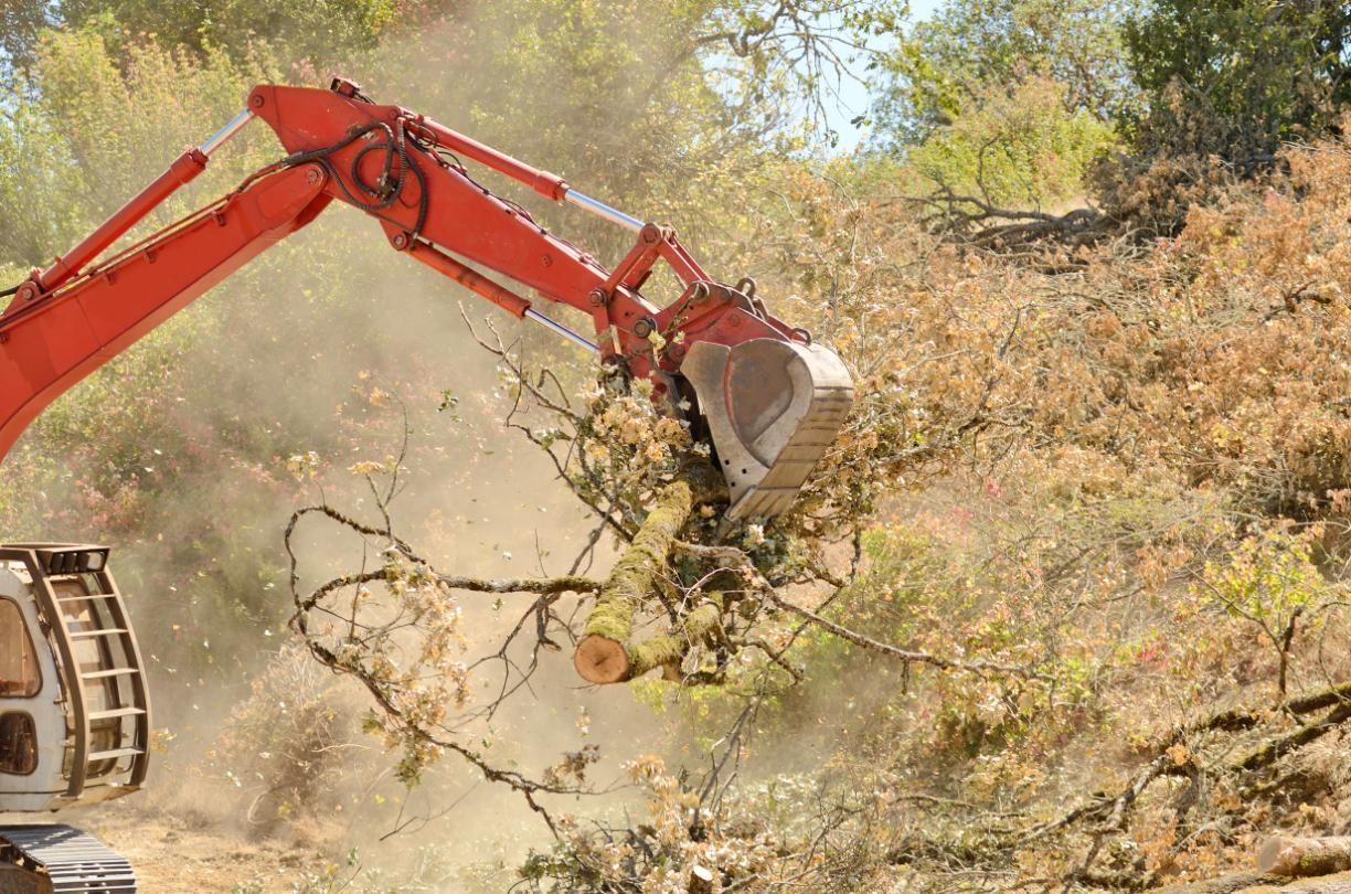 Orange excavator clearing brush and dust in a dry, wooded area